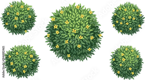 Five green bushes with yellow flowers in symmetrical layout, ideal for garden design, botanical mapping, and vector landscaping illustration use.