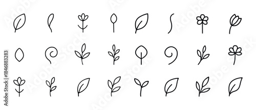 Minimalist hand-drawn plant and leaf doodles collection