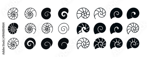 Nautical black and white spiral shell patterns collection