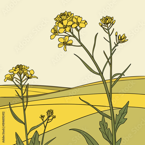Yellow mustard flowers in a field yellow flowers green stems