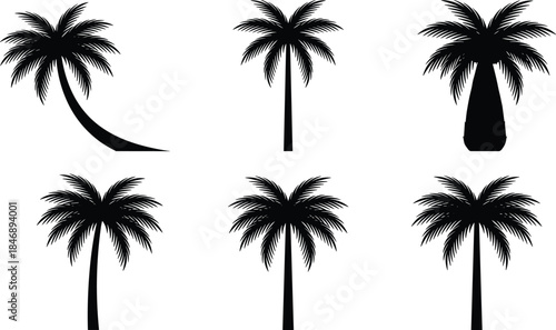 Palm tree silhouette collection, tropical coconut trees shapes, exotic island nature elements, summer beach vector illustration set