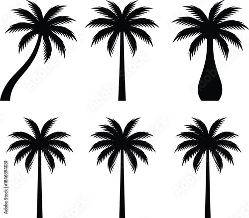 Palm tree silhouette set, tropical coconut palms collection, exotic island summer nature elements, isolated black vector illustration