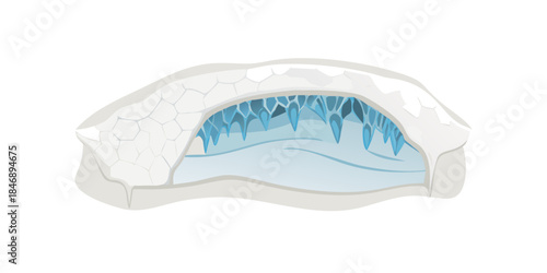 Ice cave illustration, snow shelter, winter landscape element, arctic habitat, natural ice formation with icicles inside