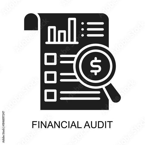 Financial Audit icon glyph vector illustration
