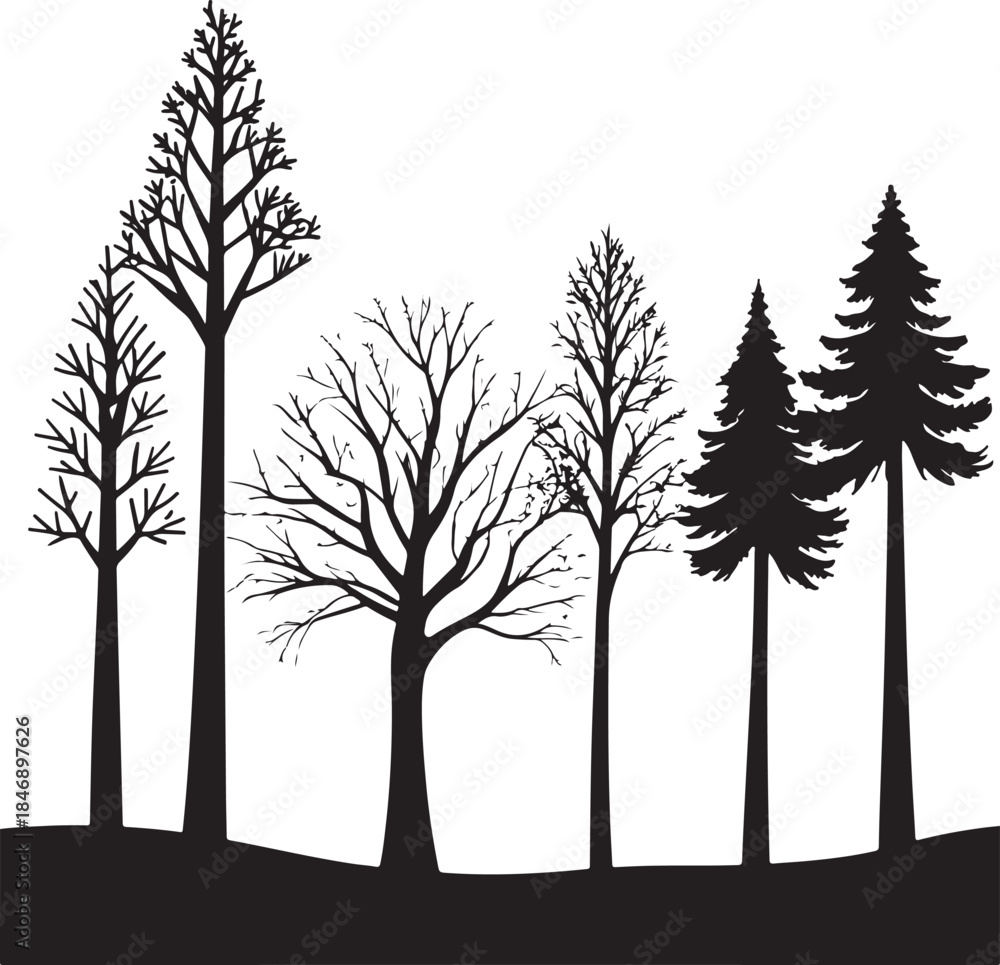 Fototapeta premium silhouettes of trees