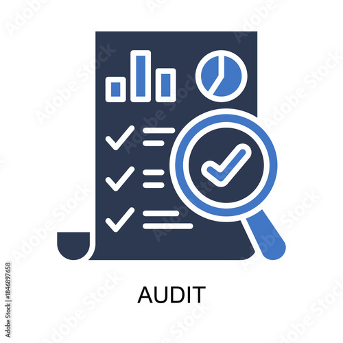 Audit icon solid vector illustration