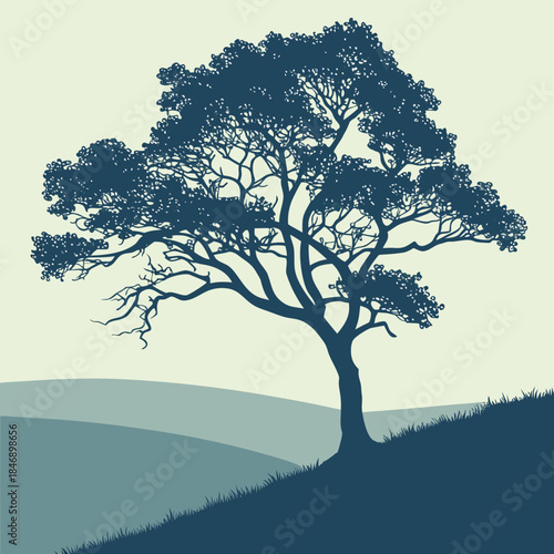Silhouette of a large, mature tree standing on a rolling hill at dusk or dawn