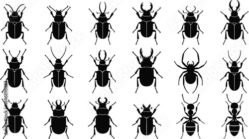 Collection of insect silhouettes including various beetles, spiders and ants, detailed entomology illustration set for science projects, education materials and design use
