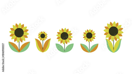 Vibrant sunflowers in various stages of bloom