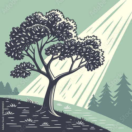Tree on hill with sunbeam and forest landscape