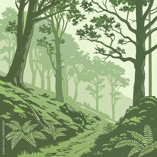 Green forest with trees and ferns on a hillside