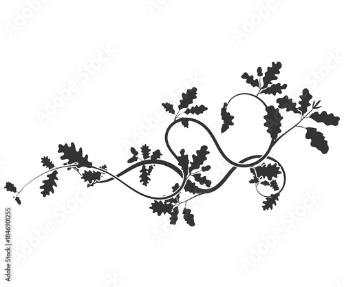 Beautiful oak weaving pattern element new vector