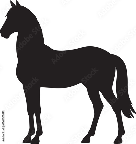 silhouette of a horse ,horse silhouette vector ,horse, animal, silhouette, farm, illustration, running, stallion, horses, art, sport, tail, race, outline, equine, nature, vector, black, animals, mamma