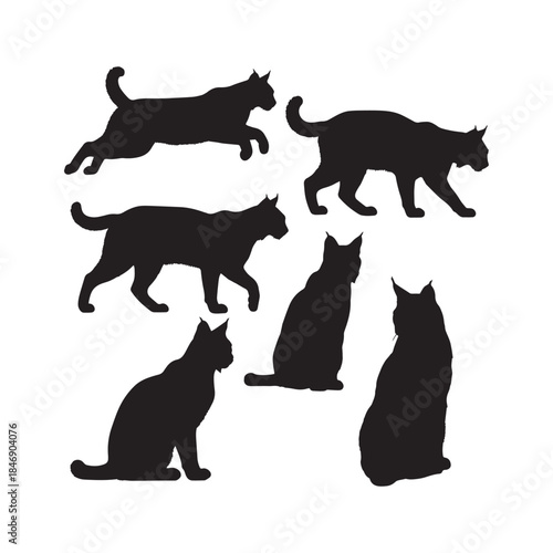 Bobcat Silhouettes Collection,Bobcat Silhouettes,Vector Bobcat Silhouettes,Wild Bobcat Silhouettes,bobcat vector