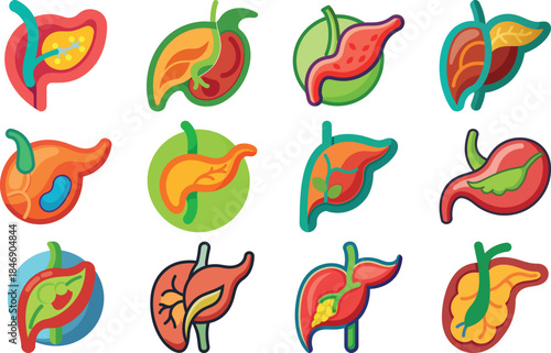 Human Anatomy Icon Set Featuring Heart, Liver, Kidney, Lungs, Intestine, Digestive System, Muscular System, Nervous System and Internal Organs – Flat Medical Vector Illustration for Healthcare, Educat