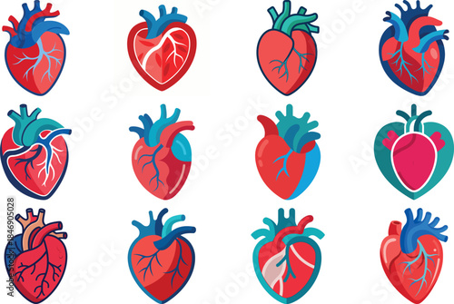 Human Anatomy Icon Set Featuring Heart, Liver, Kidney, Lungs, Intestine, Digestive System, Muscular System, Nervous System and Internal Organs – Flat Medical Vector Illustration for Healthcare, Educat