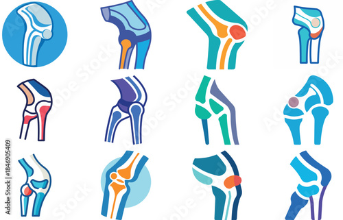 Human Anatomy Icon Set Featuring Heart, Liver, Kidney, Lungs, Intestine, Digestive System, Muscular System, Nervous System and Internal Organs – Flat Medical Vector Illustration for Healthcare, Educat