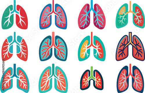 Human Anatomy Icon Set Featuring Heart, Liver, Kidney, Lungs, Intestine, Digestive System, Muscular System, Nervous System and Internal Organs – Flat Medical Vector Illustration for Healthcare, Educat