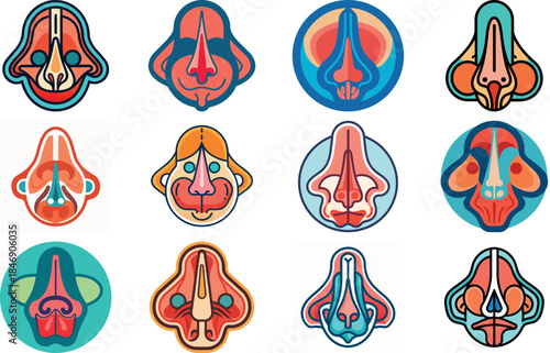 Human Anatomy Icon Set Featuring Heart, Liver, Kidney, Lungs, Intestine, Digestive System, Muscular System, Nervous System and Internal Organs – Flat Medical Vector Illustration for Healthcare, Educat