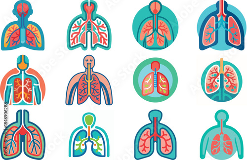 Human Anatomy Icon Set Featuring Heart, Liver, Kidney, Lungs, Intestine, Digestive System, Muscular System, Nervous System and Internal Organs – Flat Medical Vector Illustration for Healthcare, Educat