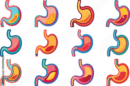 Human Anatomy Icon Set Featuring Heart, Liver, Kidney, Lungs, Intestine, Digestive System, Muscular System, Nervous System and Internal Organs – Flat Medical Vector Illustration for Healthcare, Educat
