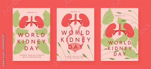 World Kidney Day Poster Set, Kidney and Bladder anatomy with green leaves. Healthcare Awareness cards for clinic and social media, flat Vector Illustration.