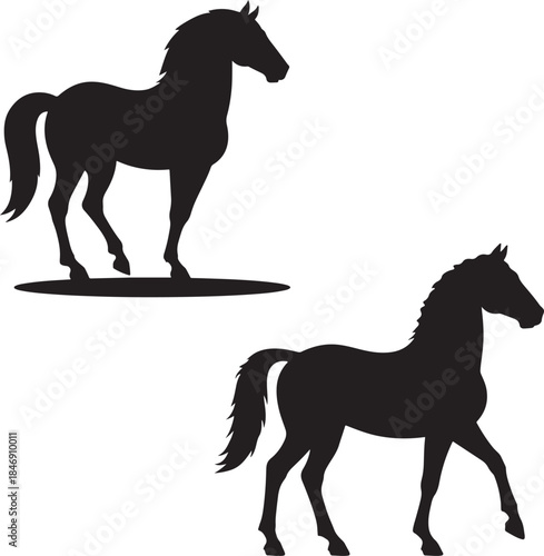 silhouette of a horse ,horse silhouette vector ,horse, animal, silhouette, farm, illustration, running, stallion, horses, art, sport, tail, race, outline, equine, nature, vector, black, animals, mamma