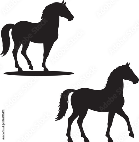 silhouette of a horse ,horse silhouette vector ,horse, animal, silhouette, farm, illustration, running, stallion, horses, art, sport, tail, race, outline, equine, nature, vector, black, animals, mamma