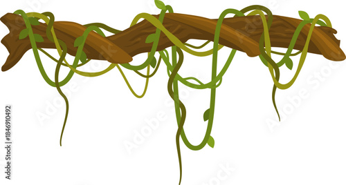 Jungle liana vine wrapping tree branch illustration
