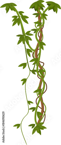 Lush green jungle lianas and vines hanging