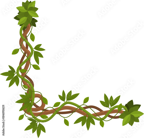 Jungle liana vines forming a corner border