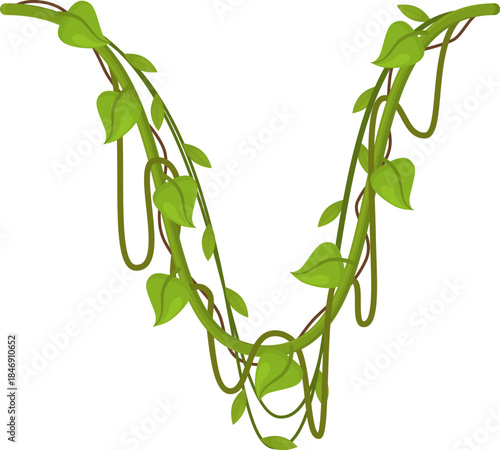 Tropical jungle liana vine hanging with green leaves