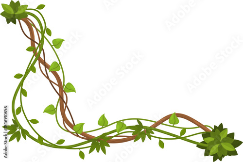 Jungle lianas and green vines forming a corner border
