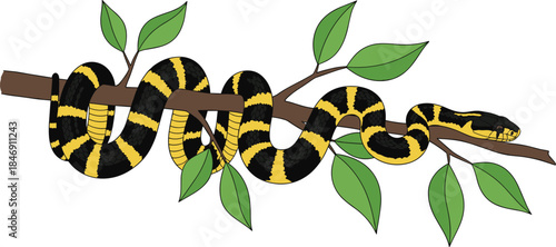 Black and yellow banded snake illustration coiled on tree branch with green leaves, wildlife danger concept, nature reptile vector art