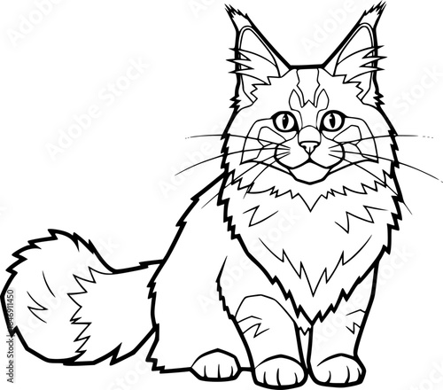 Fluffy Maine Coon Cat Vector Outline Cute Pet Illustration for Children Coloring Book Design
