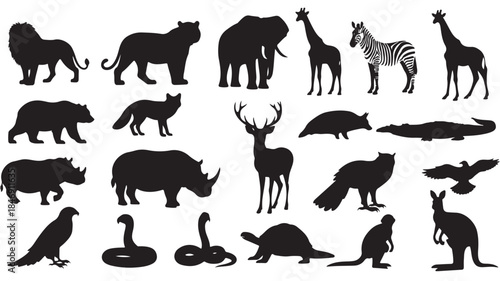Black Animal Silhouettes on White Background
