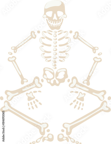 Human skeleton sitting cross legged meditating or relaxing
