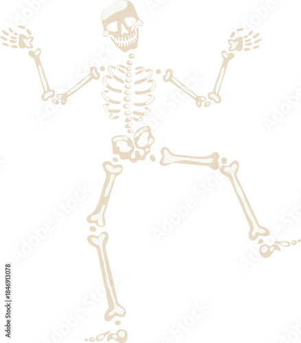 Playful skeleton raising arms celebrating halloween party