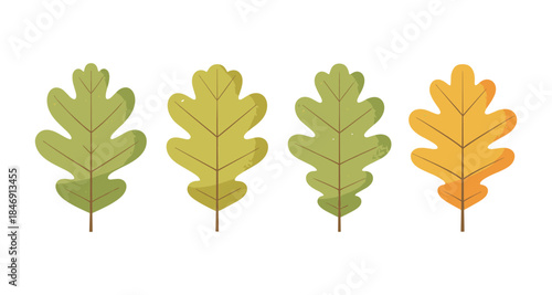 Four stylized oak leaves in green and yellow hues on a white background