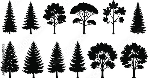 Black Silhouette Trees, Nature Forest Plant Icons, Vector Evergreen Pine Coniferous Deciduous Maple Wood Graphics Collection for Outdoors and Ecology Design