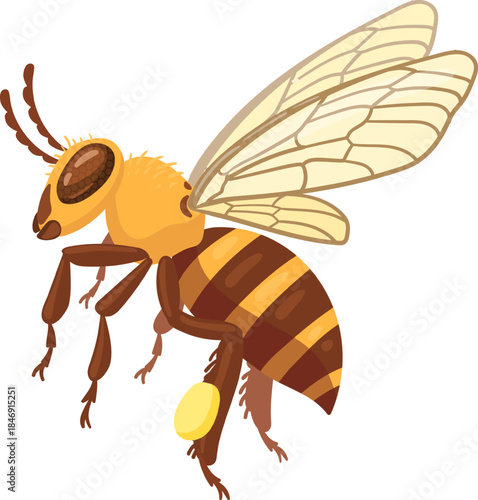 Honey bee flying carrying pollen on leg