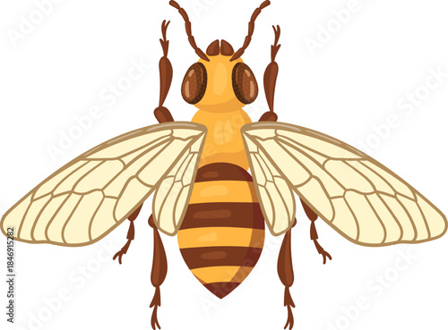Yellow and brown honey bee flying