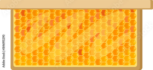 Honeycomb frame filling with sweet golden honey