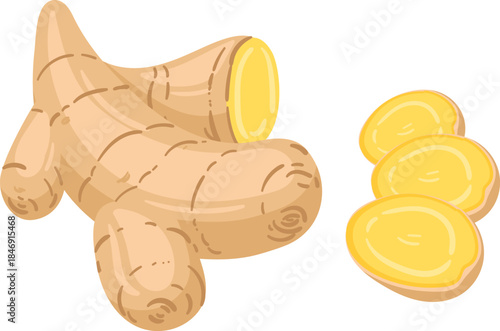 Ginger root and slices creating healthy food illustration