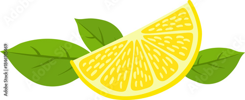 Fresh lemon slice with green leaves illustration