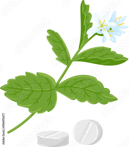 Herbal medicine concept combining plant extract and tablets