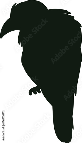 Dark raven bird silhouette standing against white background
