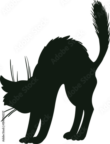 Black cat silhouette arching back for Halloween concept