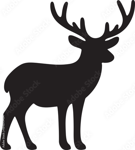 Detailed vector illustration of a mule deer buck with large antlers