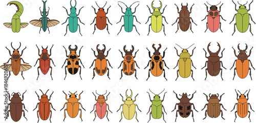 Extensive vector set featuring a large and diverse collection of stylized insects and beetles in various colors and shapes, perfect for nature, science, biology, and entomology designs.